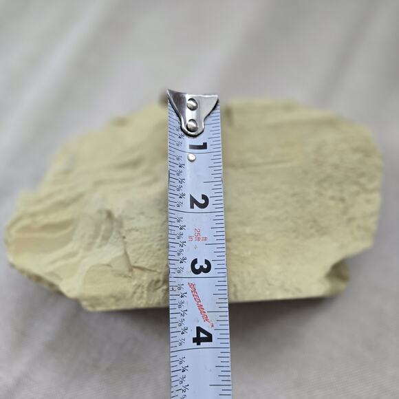 Engraved Rhino Resin Slate Figurine - Picture 8 of 8